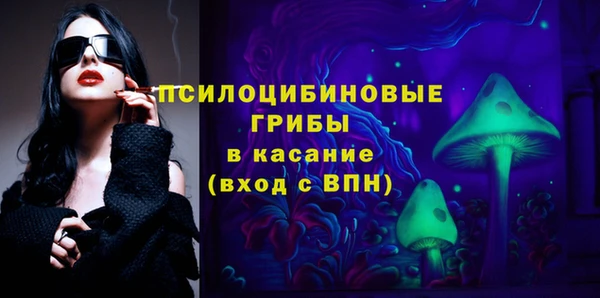 винт Осташков