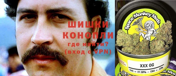 индика Бикин