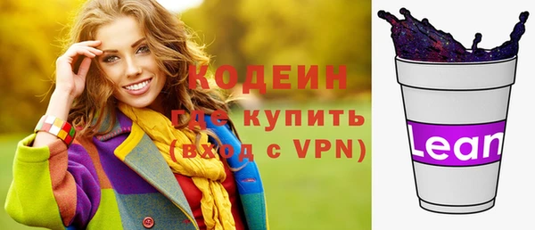 индика Бикин