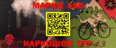 сатива Ирбит