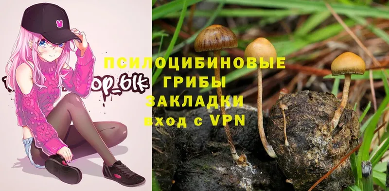 Галлюциногенные грибы Psilocybe  Лиски 